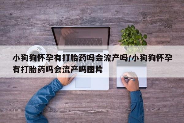 打胎药在线购买小狗狗怀孕有打胎药吗会流产吗/小狗狗怀孕有打胎药吗会流产吗图片